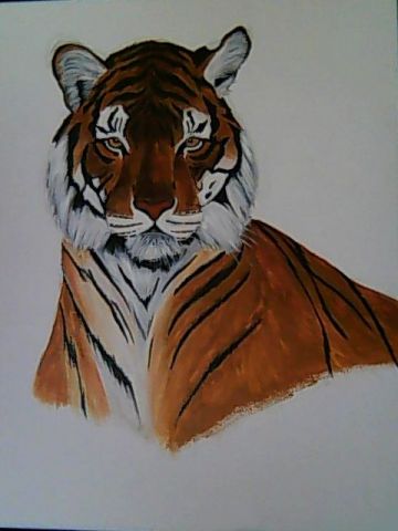 Tigre